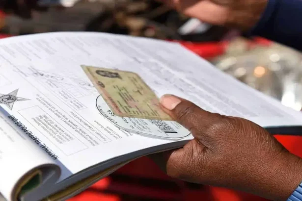 SA Ignores Proven Solution to Driver’s Licence Backlog as Delays Stretch Up to 6 Month